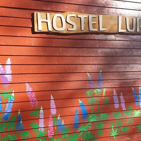 Hostel And Vandrarhem Lupin Naturcamping Lagom Gräsmark エクステリア 写真