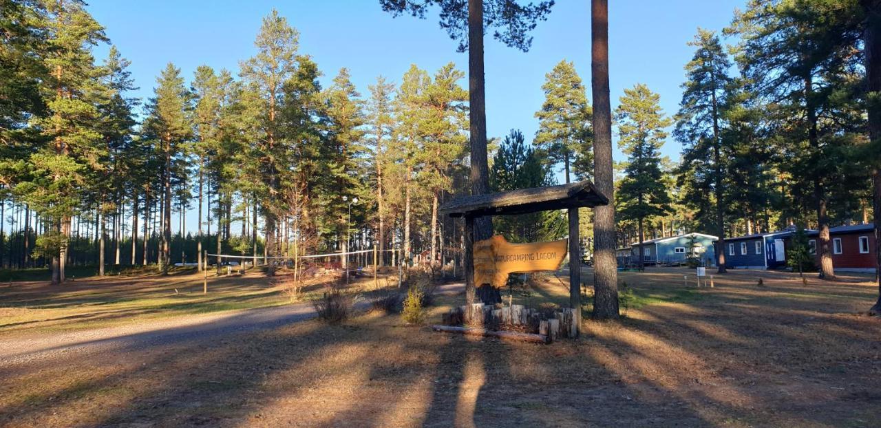 Hostel And Vandrarhem Lupin Naturcamping Lagom Gräsmark エクステリア 写真