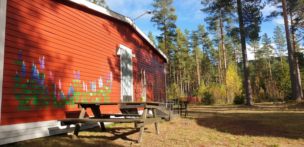 Hostel And Vandrarhem Lupin Naturcamping Lagom Gräsmark エクステリア 写真