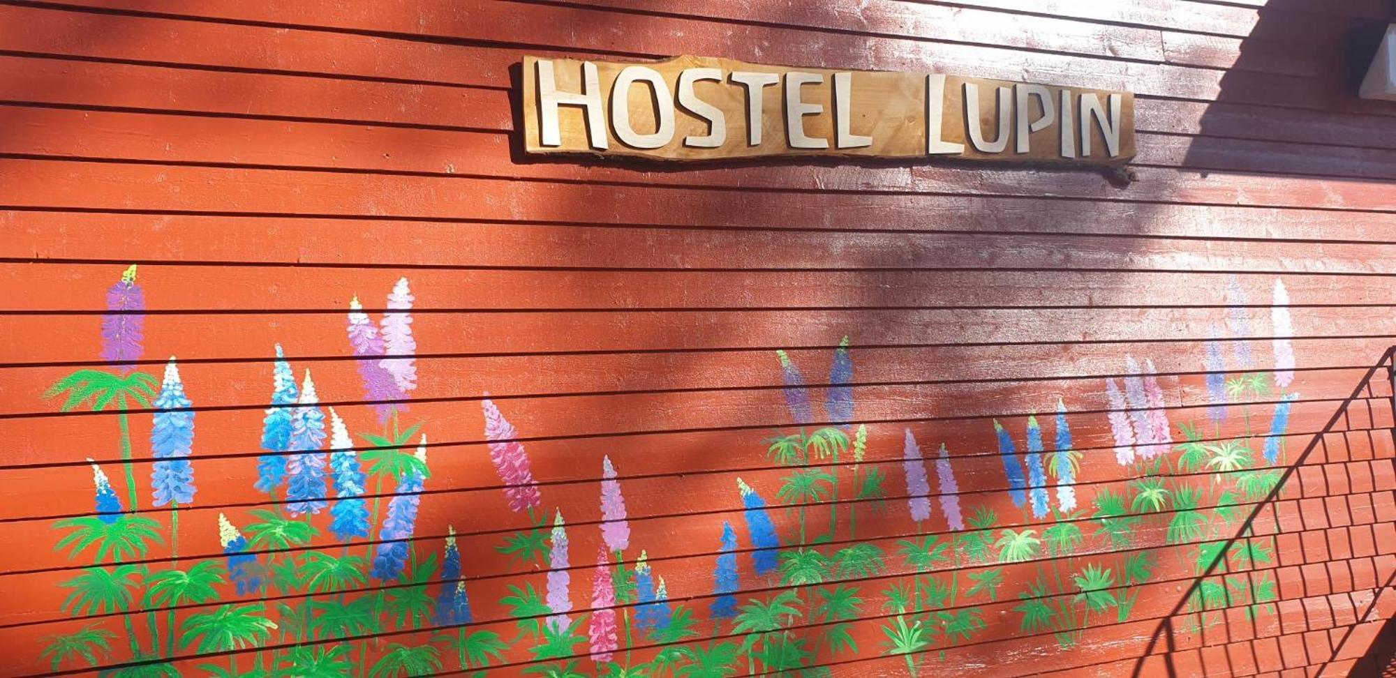 Hostel And Vandrarhem Lupin Naturcamping Lagom Gräsmark エクステリア 写真
